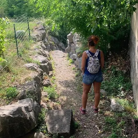 La Fougere Daire